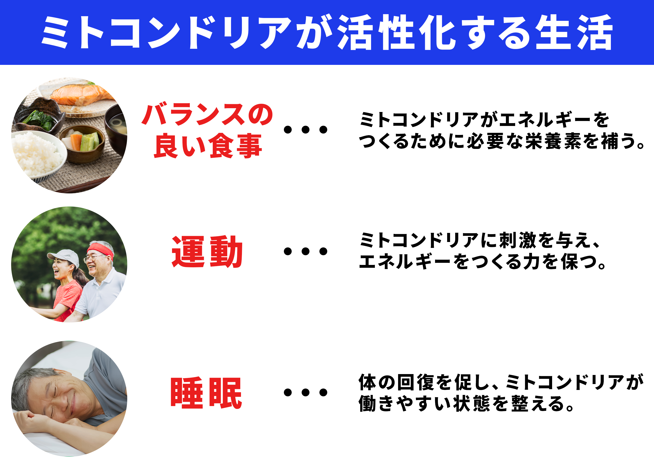 ATP不足で起こる臓器の機能低下